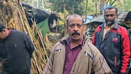 വീണ്ടും കടുവയുടെ ആക്രമണം:ആടിനെ കൊന്നു