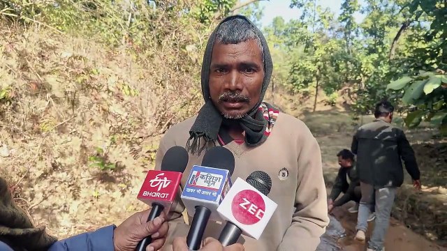 गढ़वा जिले के भंडारिया के जंगलों में बाघ का दहशत, शाम होते हीं घरों में दुबकने को मजबूर हैं ग्रामीण।