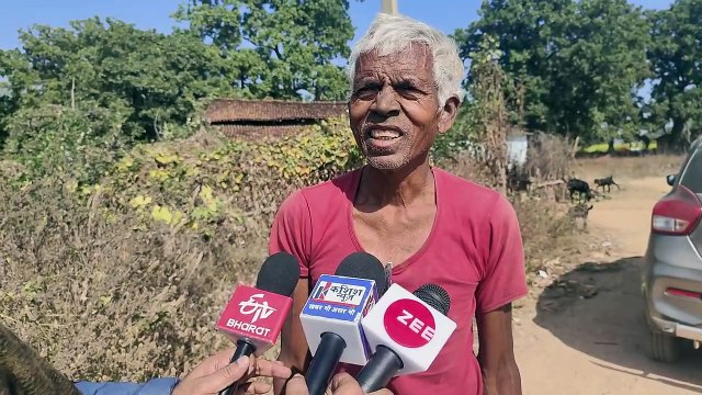 गढ़वा जिले के भंडारिया के जंगलों में बाघ का दहशत, शाम होते हीं घरों में दुबकने को मजबूर हैं ग्रामीण।