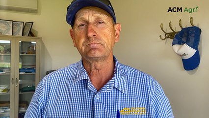 Mortlake Feature Female sale