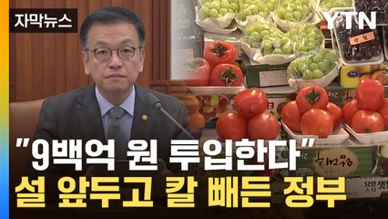 [자막뉴스] "9백억 원 투입"...명절 물가 안정 위해 칼 빼든 정부 / YTN