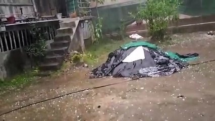 ভোগালী বিহুৰ প্ৰাক মুহূৰ্তত কৃষিজীৱী ৰাইজৰ মূৰত ভাগি পৰিল