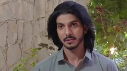 Tauba Last Episode 85 [Eng Sub] Mikaal Zulfiqar - Momina Iqbal - Mohsin Abbas Haider - 9th Jan 2025 - Har Pal Entertainment