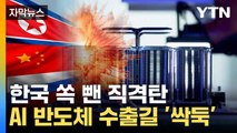 [자막뉴스] '한국은 예외'... 美 AI 반도체 수출 규제 확대 / YTN