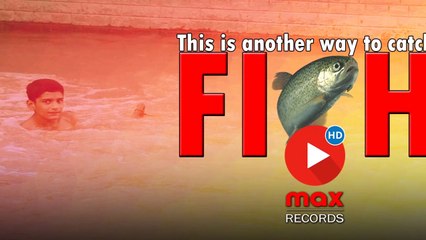 This is Another Way to Catch Fish 🎣 4K Video - Village Life Phulpota | Larkana Sindh Pakistan max RECORDS Follow