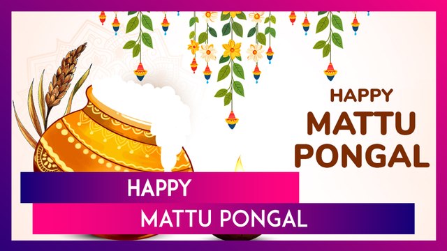 Happy Mattu Pongal 2025 Greetings, Wishes, Quotes And Messages To Celebrate The Festival Of Pongal