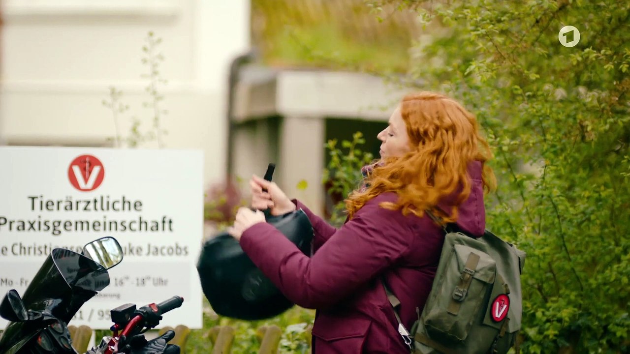 Nord bei Nordwest: Haare Hartmann