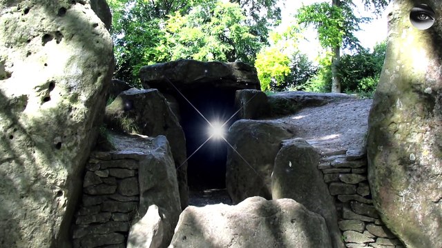 Crop circles 2024 - Emergence of the 'Bee' Crop Circle at Dawn in 2004