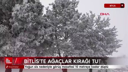 Bitlis'te ağaçlar kırağı tuttu