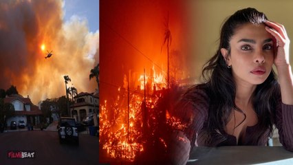 Los Angeles के जंगल में लगी भयानक आग, Priyanka Chopra ने Share की डरा देने वाली Photo-Videos