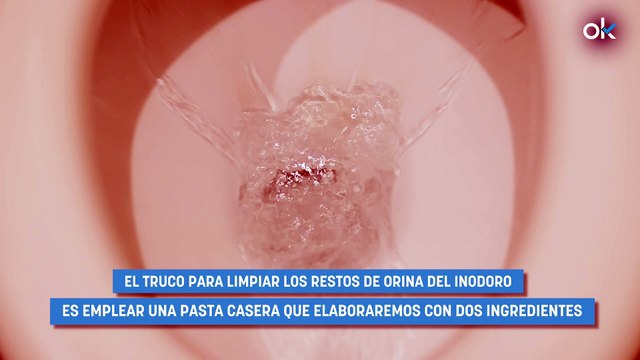 Ni limón ni bicarbonato: el truco infalible para limpiar los restos de orina del inodoro y eliminar su olor