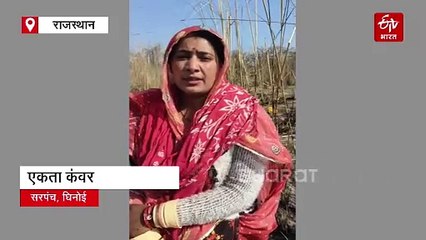 बड़ी खबर : चौमूं में 24 से ज्यादा नील गायों का शिकार, कालाडेरा के सबलपुर गांव में मिले अवशेष