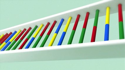 Las vacunas de ARN mensajero