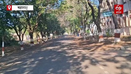 अमरावती विश्वविद्यालय परिसर में घुसा बाघ, दहशत में लोग