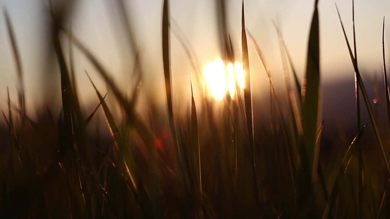 manual upload chill