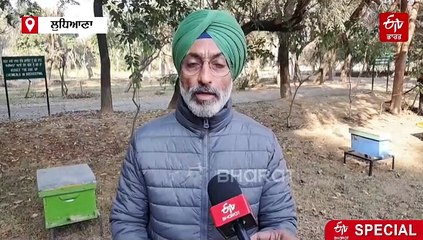 ਸ਼ੁੱਧ ਸ਼ਹਿਦ ਵੀ ਜੰਮ ਜਾਂਦਾ ਹੈ ਸਰਦੀਆਂ ਦੇ ਵਿੱਚ ਵੇਖੋ ਹੋਰ ਸਿਹਤ ਲਈ ਕਿੰਨਾ ਜਰੂਰੀ ਸ਼ਹਿਦ ਅਤੇ ਕਿਵੇਂ ਕਰੀਏ ਮਧੂ ਮੱਖੀਆਂ ਦੀ ਸਰਦੀਆਂ ਦੇ ਵਿੱਚ ਦੇਖਭਾਲ