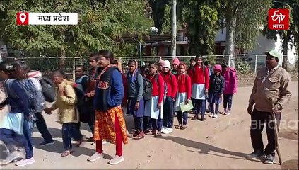 सतना में आदमखोर हुआ बंदर! 8 वीं की छात्रा पर किया हमला, 2 दिन से मचा रखा है आतंक