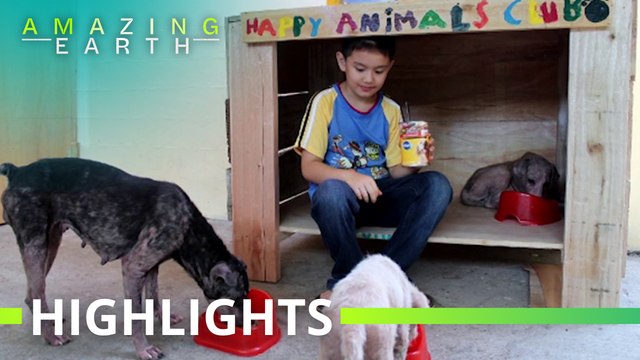 Amazing Earth: Ken Amante creates the Happy Animals Club to help animals in need!