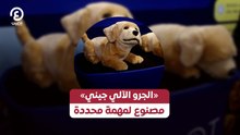 «الجرو الآلي جيني» مصنوع لمهمة محددة