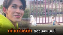เห่าเก่งหนักใช่ไหม ต้องเจอวิธีนี้ ถึงกับอึ้งหยุดเห่าไปเลย