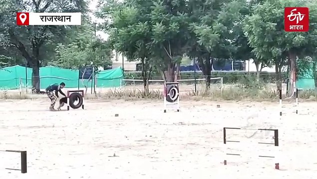 dogs will guard the border: Training going on in BSF camp in Bikaner, BSF training dogs in bikaner for deployment at indo pak border