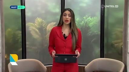 Hallan restos de sangre en los perros que atacaron a una mujer, habían 18 animales al interior de la casa