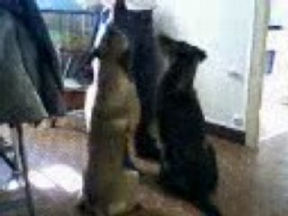 ben et chinook