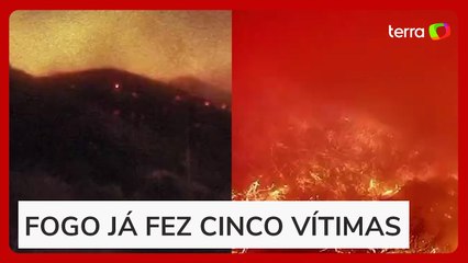 Timelapse captura intensidade do fogo em Pacific Palisades, o bairro dos famosos em LA