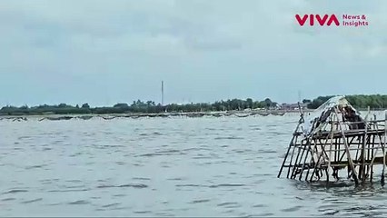 Disegel KKP, Pagar Bambu Misterius di Laut Tangerang
