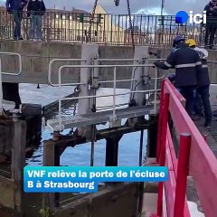 Opération rare : le relevage des portes d'une écluse à la Petite France