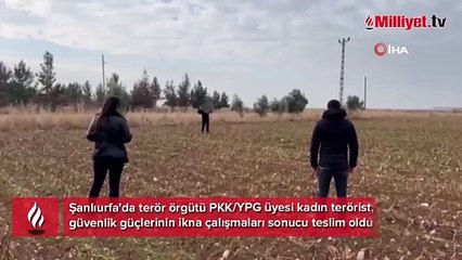 Suriye sınırından sıcak görüntü! Patlayıcı uzmanı kadın terörist teslim oldu