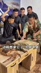 New Comedy 2025 | Funniest Moments 🤣 | Hilarious Comedy Sh