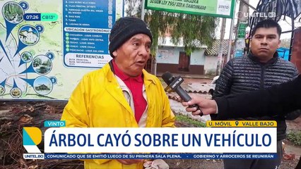 Hombre resulta herido luego de que un árbol cayera sobre su vehículo cuando esperaba en el semáforo