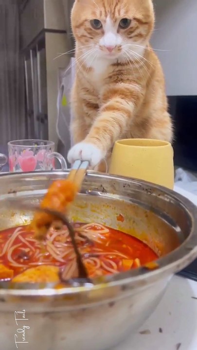 When she try to feed me