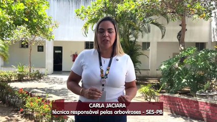 Paraíba registra 11 mortes por dengue em 2024 e 100% a mais de casos comparados a 2023