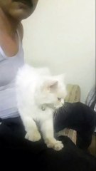 Entertainment Cartoon for all family and kids