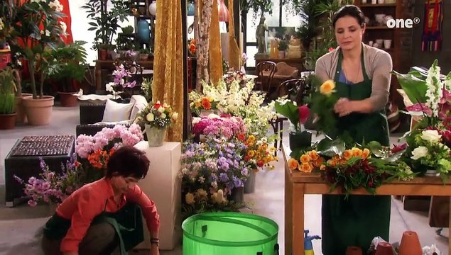 Rote Rosen Folge 1327