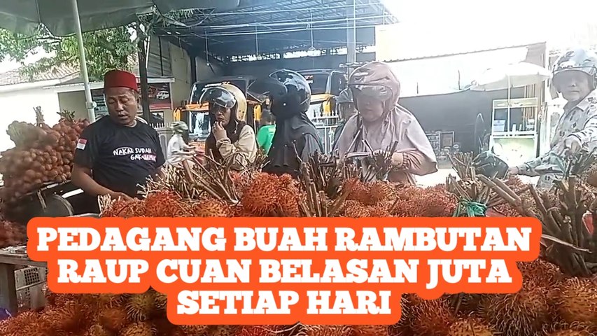 Pedagang Buah Rambutan Raup Cuan Belasan Juta Setiap Hari