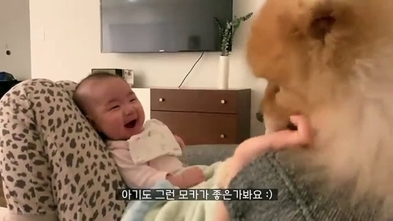 when a dog loves her baby sister too much