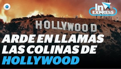 Como película: Arde en llamas las colinas de Hollywood I Reporte Indigo