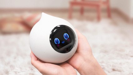 Meet Romi, the Emotional Support Robot Bringing Comfort and Conversation to Combat Loneliness