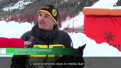 Sciare in sicurezza, dalla Gdf dimostrazioni di soccorso