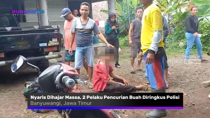 Nyaris Dihajar Massa, Dua Pelaku Pencurian Buah Jeruk dan Alpukat Diringkus Polisi Ini Kronologi Kejadiannya