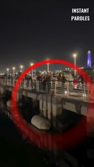 Cette femme se mobilise pour ce chien au milieu du pont