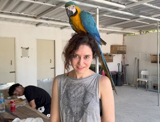 Ayuso se cuela en el Santuario de Frank de la Jungla y hace esto