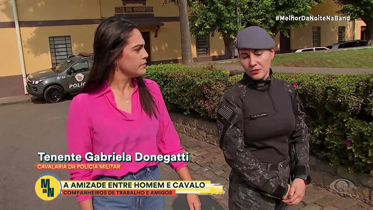 Conheça a história de Bizantino, cavalo aposentado da Polícia Militar | Melhor da Noite