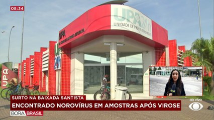 Norovírus: o que é o causador do surto de virose no litoral de SP