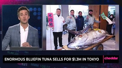 Enormous Bluefin Tuna Sells for $1.3M in Tokyo