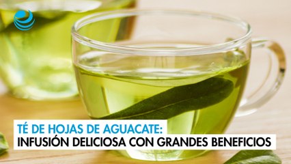 Té de hojas de aguacate: una infusión deliciosa con grandes beneficios