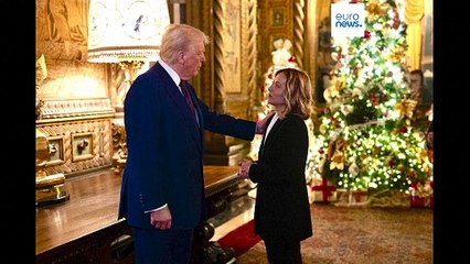 Meloni: 'Sala's release made my day — and I didn't talk to Musk about Starlink'